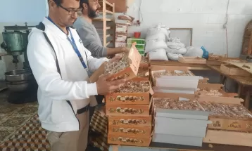 الاقتصاد: طواقمنا تنظم 10 زيارات تفتيشية على مصانع الحلقوم في مدينة غزة