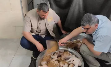 الاقتصاد تتلف كميات من الدجاج غير الصالح للاستهلاك الادمي بمحافظة الشمال