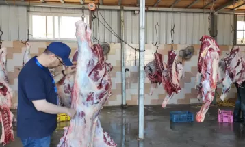 الاقتصاد: طواقمنا نفذت 82 زيارة تفقدية على المحال والأسواق في محافظات قطاع غزة