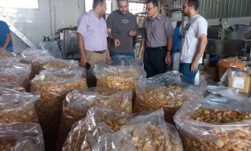 الاقتصاد: قسم الصناعات الغذائية ينظم جولات تفقدية لمنشآت غذائية في محافظتي غزة والشمال